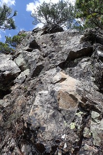 s-36門の上部(4p目上部)P5231912