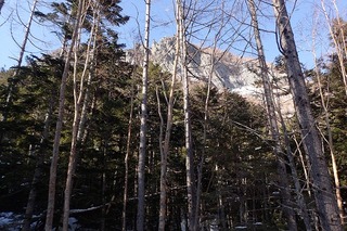 s-54-下の平坦地よりP2211664