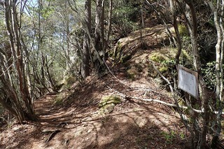 s-16山頂への登山道も左に進むP5231883