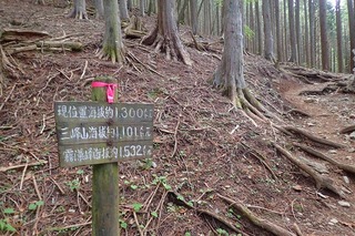 s-P6051238
