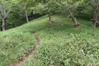 P7021380
