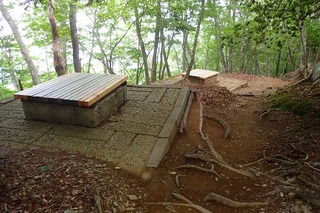 s-P6051253