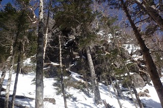 s-37-稲子岳のコルP2211578