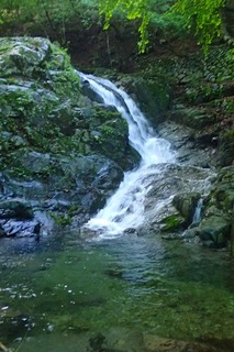 P6251263µÕ¤¯¤Î»ú5¡ß6ms