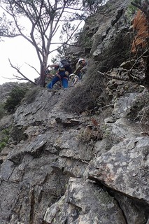 s-44-2段目テラス左の松の木P5231929