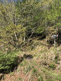 s-03-IMG_2045岡田登山口