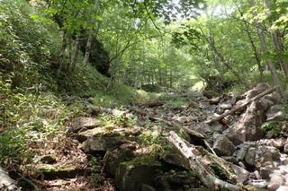 P7021379