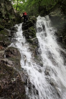 P7021344-2