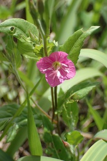 s-02