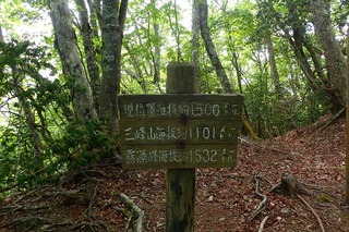 s-P6051247