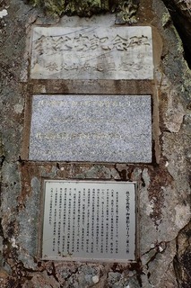 s-P6051301