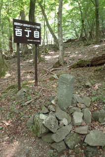 P7021394