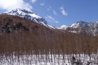 s-P3211332¾Æ³Ù