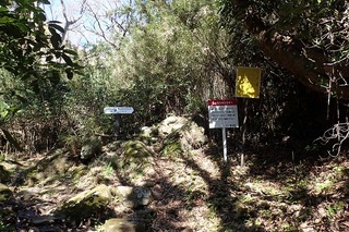 s-P3200092