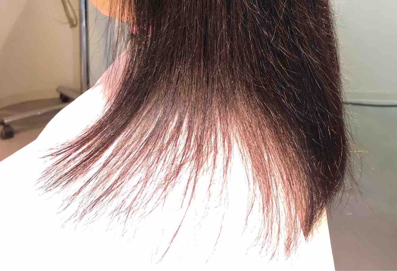 スカスカになった髪 滋賀県 長浜市 美容室 Styling Lounge Bunzo ぶんぞう ブンゾウ のblog