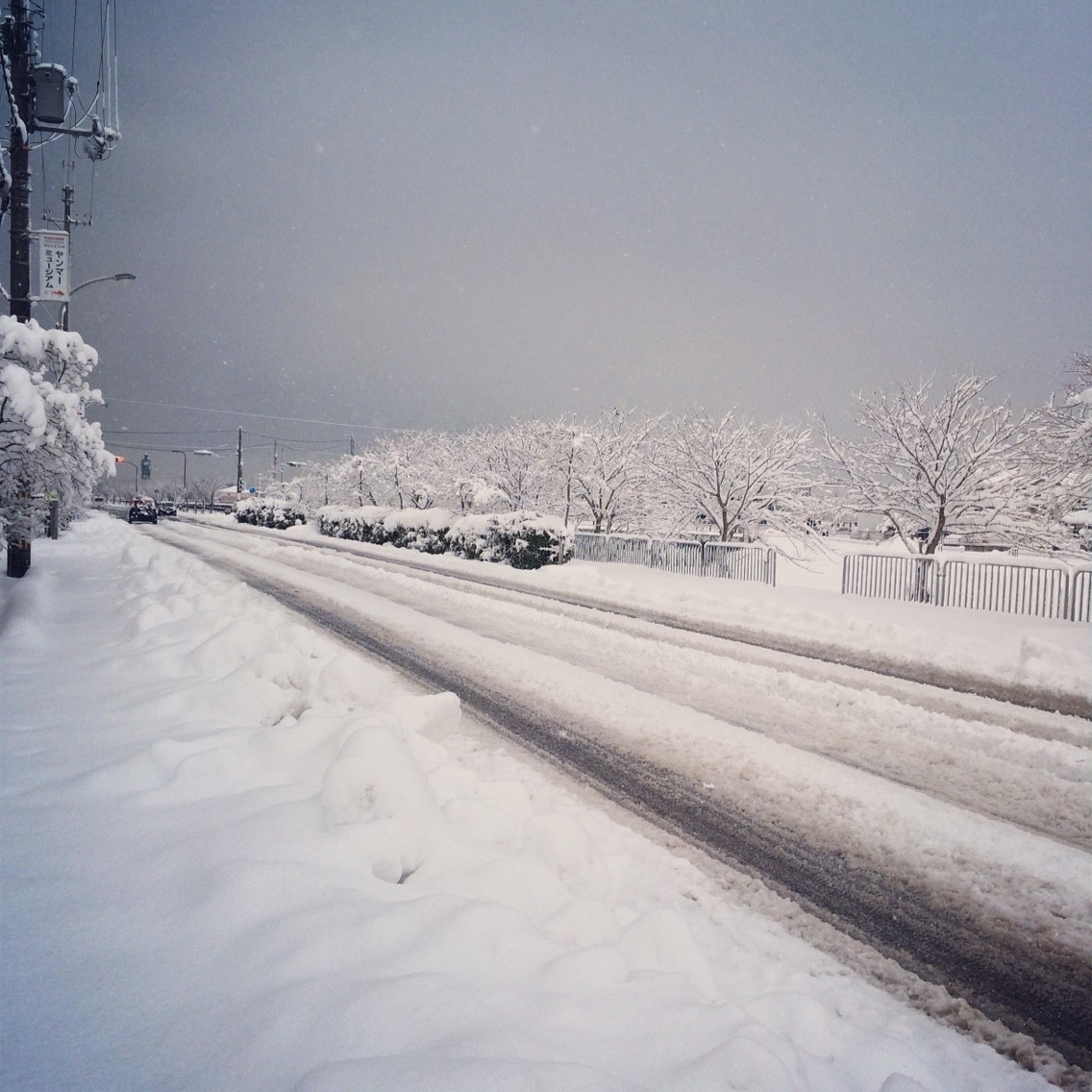 正月から雪 雪 雪 滋賀県 長浜市 美容室 Styling Lounge Bunzo ぶんぞう ブンゾウ のblog 正月から雪 雪 雪 滋賀県 長浜市 美容室 Styling Lounge Bunzo ぶんぞう ブンゾウ のblog