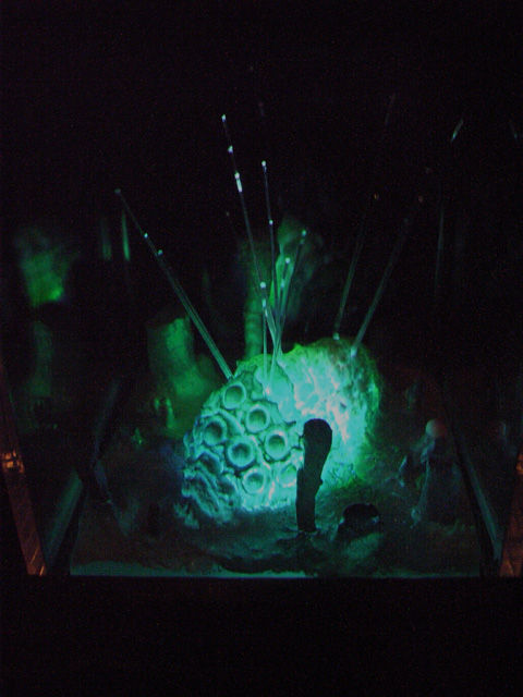 ☆アクアプラント 『風の谷のナウシカ』 腐海の王蟲（オーム）と胞子