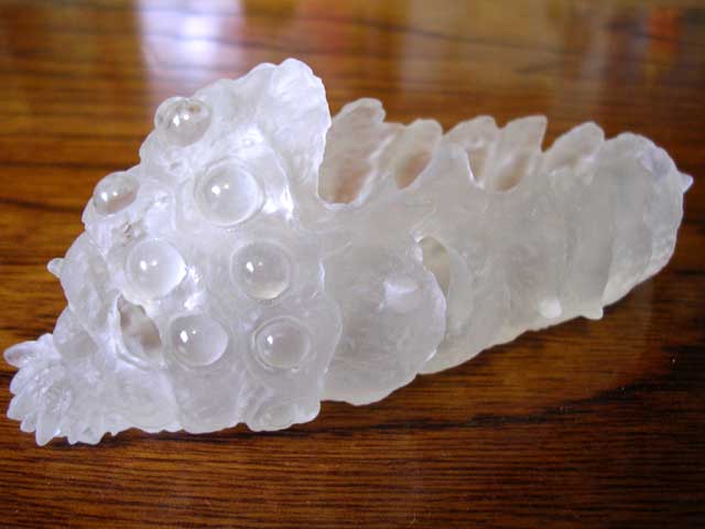 風の谷のナウシカ オウムの抜け殻 竜眼寺文蔵のジブリ部屋