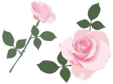 あなどれない薔薇のトゲ イタリア移住を決める前に知っておくべきイタリア生活の現実 あなどれない薔薇のトゲ イタリア移住を決める前に知っておくべきイタリア生活の現実