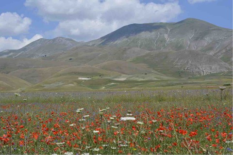 5407256E-3548-4071-9D03-9EE0924ADA27