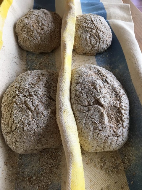 21616214_1957444184511663_4067881568436158271_n