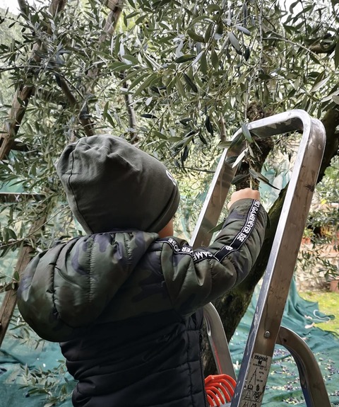 0180EDC4-2878-493C-9F2F-5B6EB5DA30E8