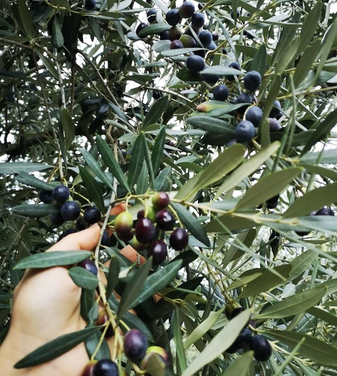 323A8D9B-5161-43D6-9948-E39925C41694