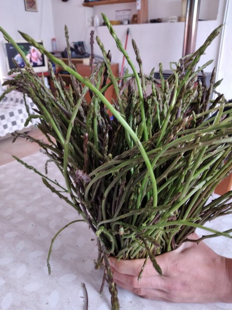 e7e9d96d-e848-4b3b-b7ad-6d19bc660dfe