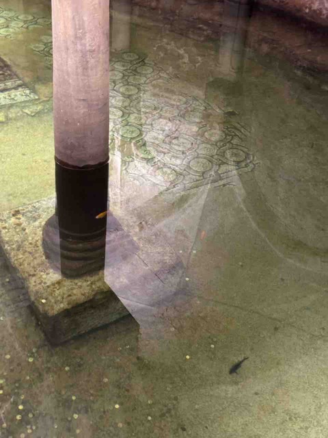 FD7D788F-4F39-4EEF-9081-8FBD0C5D8436