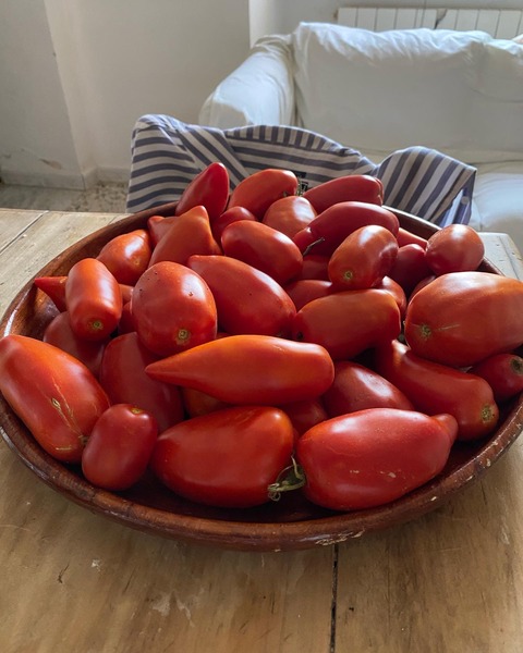 65C57512-3ADE-407A-9F7B-656BCD47631D