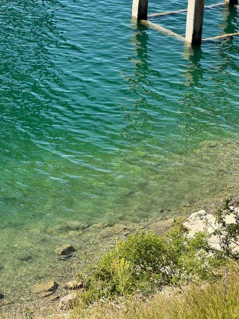 1363500F-4A1F-4252-BC83-909BD62AF3BB