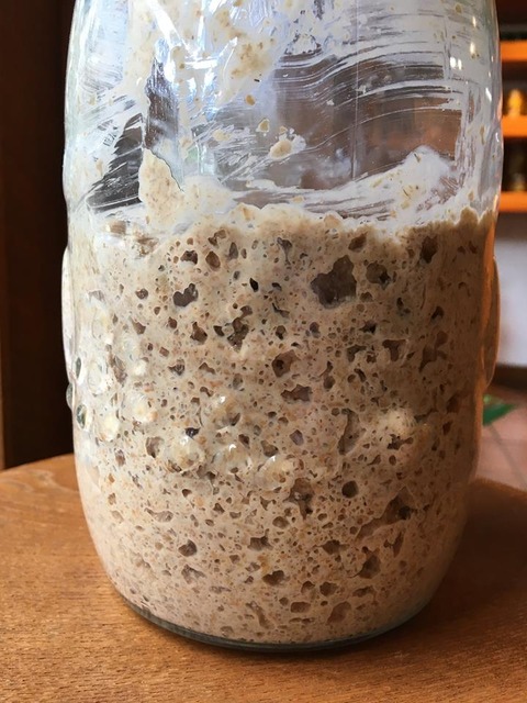 21558911_1957444094511672_9218056132394674288_n