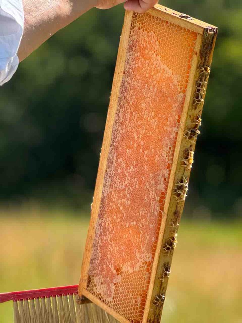 B02F1EE4-8A70-46E7-8325-A0F4934B1385