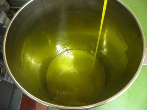 23319030_1979386892317392_9050981584506271563_n