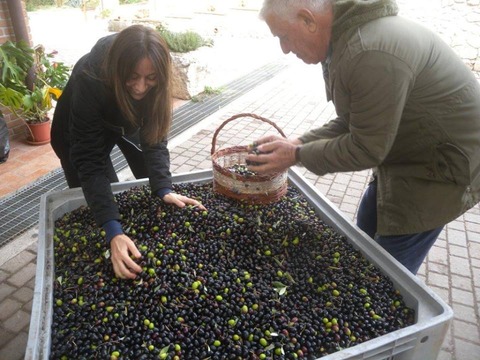 23517941_1979386218984126_6322331651743081735_n