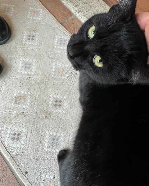 9060E96B-23FB-4C86-8DF7-242306142721