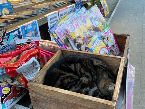 EC5EA9B2-CF9C-44D6-BAEC-CBF2D0A2FD87