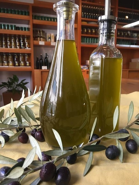 23795307_1985188885070526_6206460090503230526_n