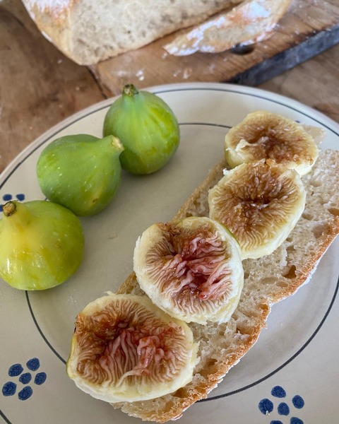 736C163D-8887-43CF-BADC-BED41CB7556D