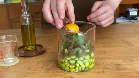 IMG_0528 - frame at 0m3s