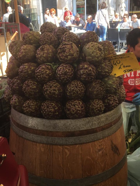 17799398_1876944682561614_5176191463014726193_n