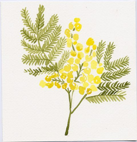 22894540_1975186666070748_1124148233472148458_n