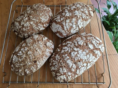 21752350_1957444274511654_8982112502763496267_n