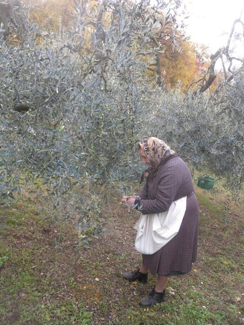 23434814_1979386322317449_8090142970591991841_n