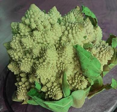 22788794_1973012099621538_3328285590055175560_n