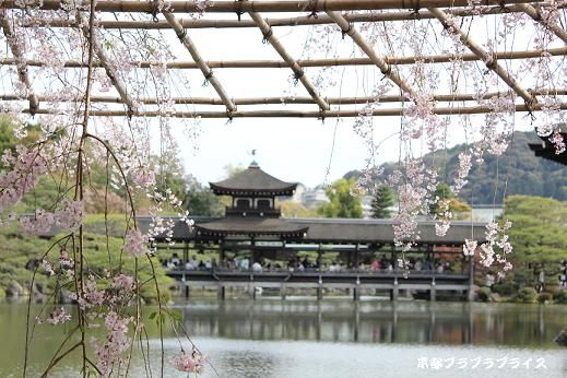heian21
