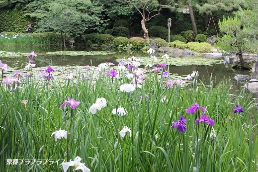 heian35