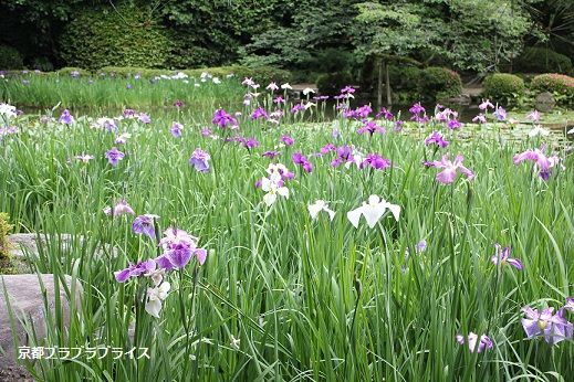 heian37