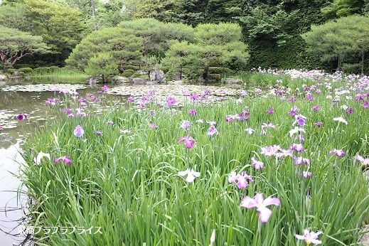 heian38