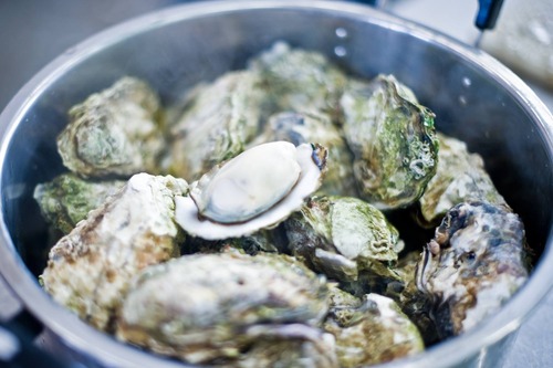 12837752_1309658099060267_477568246_o